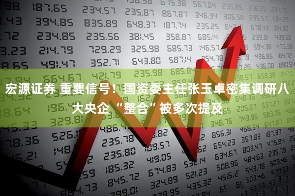 宏源证券 重要信号！国资委主任张玉卓密集调研八大央企 “整合”被多次提及