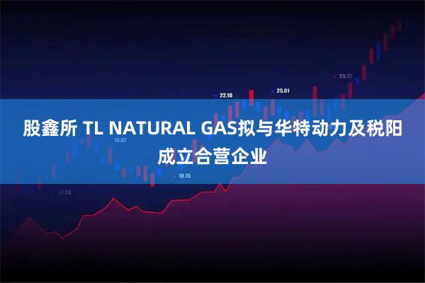 股鑫所 TL NATURAL GAS拟与华特动力及税阳成立合营企业