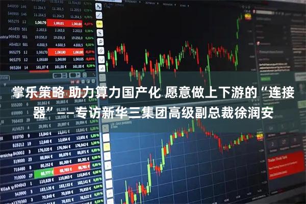 掌乐策略 助力算力国产化 愿意做上下游的“连接器”——专访新华三集团高级副总裁徐润安