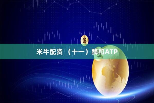 米牛配资 (十一)酶和ATP