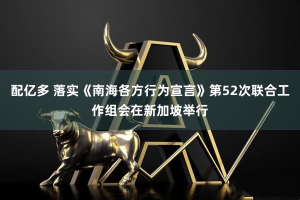 配亿多 落实《南海各方行为宣言》第52次联合工作组会在新加坡举行