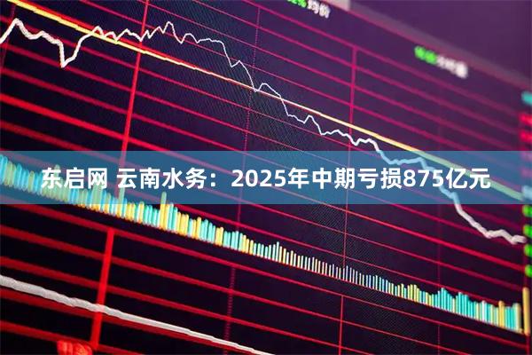 东启网 云南水务:2025年中期亏损875亿元