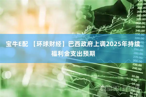 宝牛E配 【环球财经】巴西政府上调2025年持续福利金支出预期